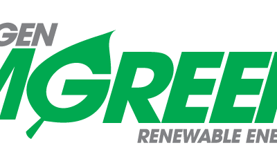 MGreen partners with Vena Energy for 68MWac solar project in Ilocos Norte