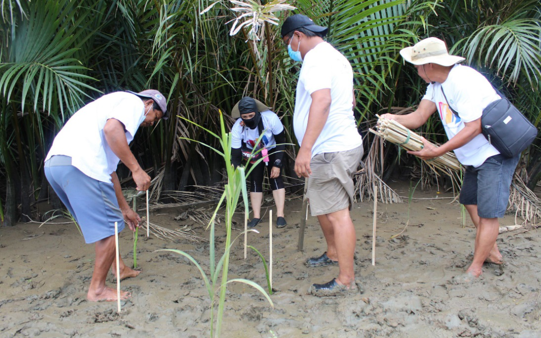 A1E continues its support to mangrove planting activities